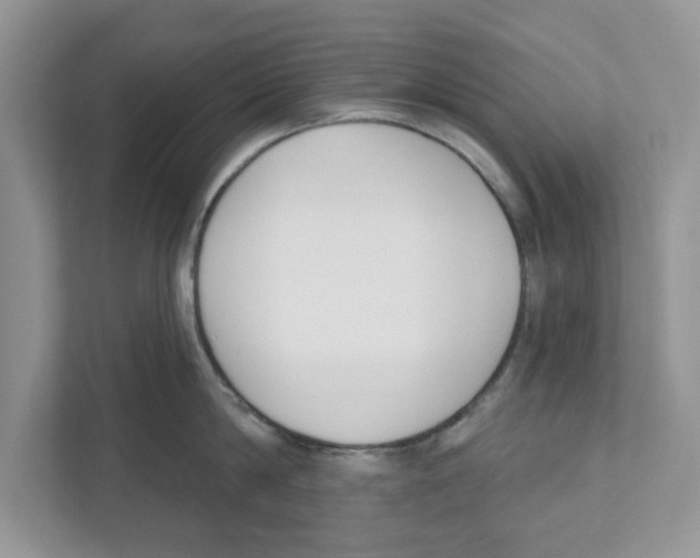 X0000110920814200907161518