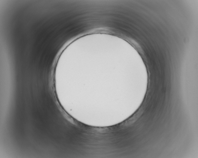 X0000110920816200907161518