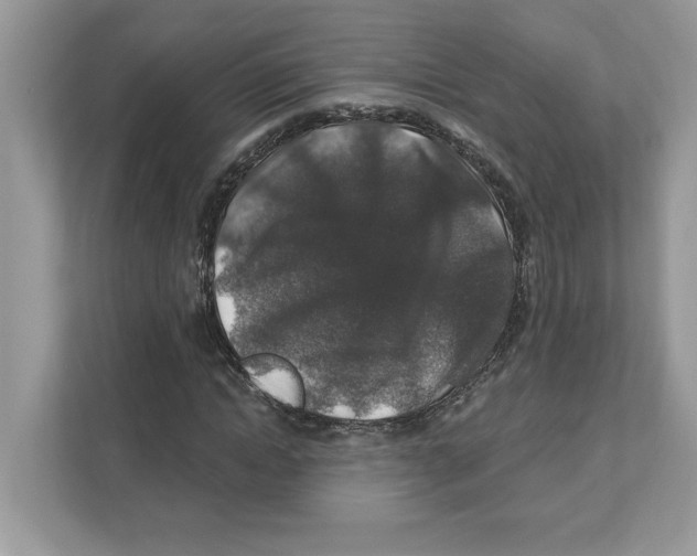 X0000110920822200907161517