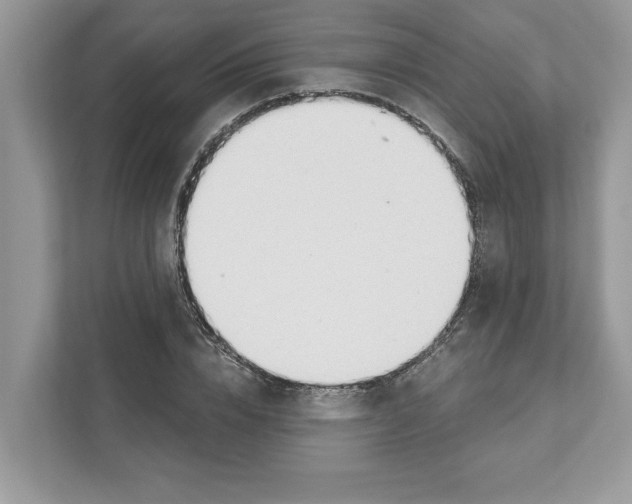 X0000110920832200907161517