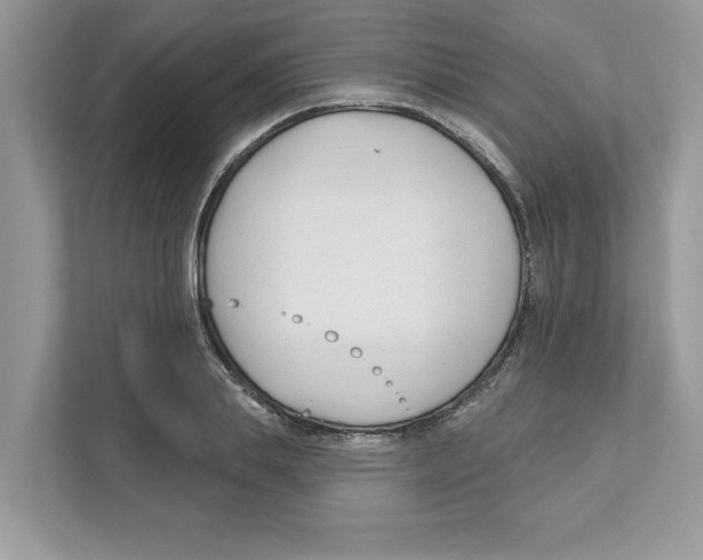 X0000110920839200907161517
