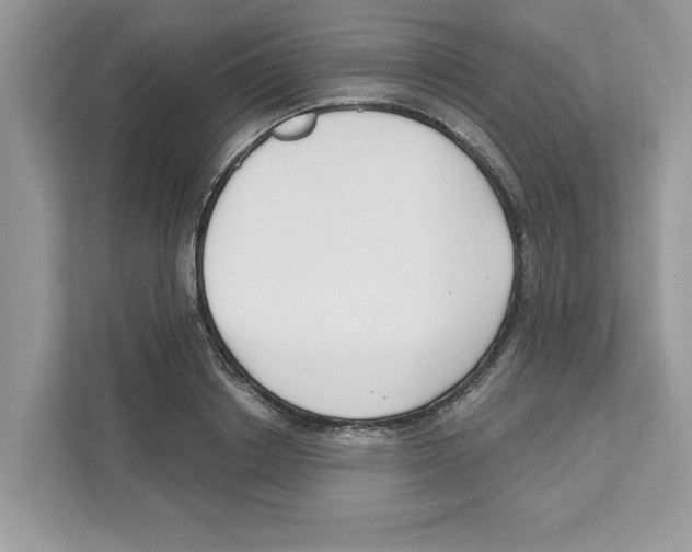 X0000110920842200907161517