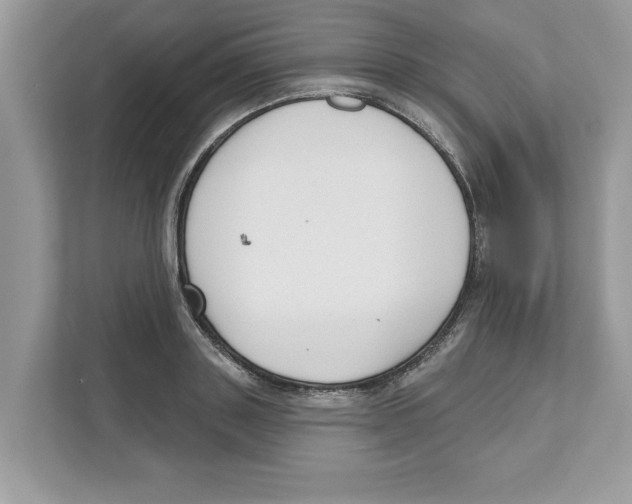 X0000110920843200907161517