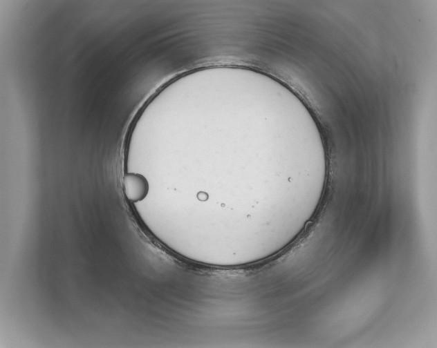 X0000110920844200907161517