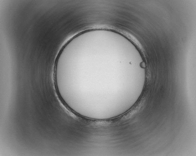 X0000110920847200907161517