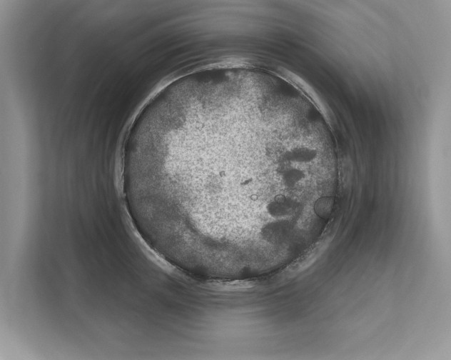 X0000110920851200907161517