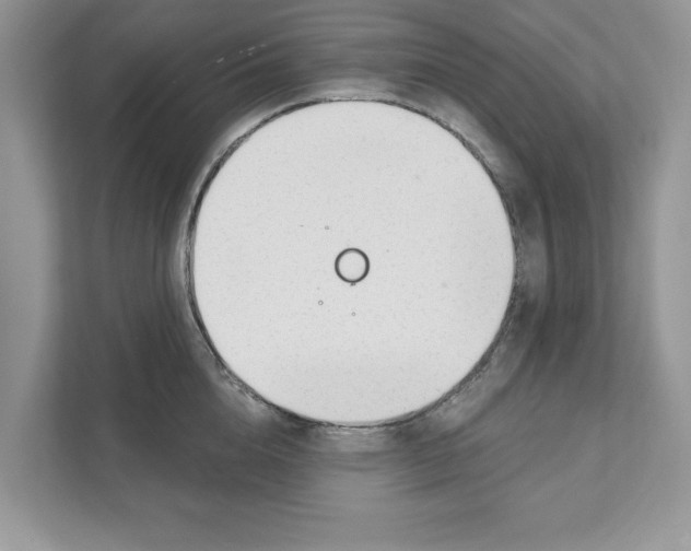 X0000110920856200907161517
