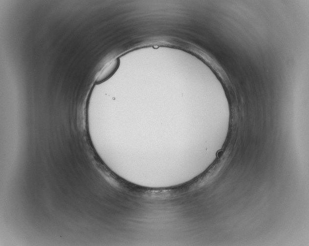 X0000110920858200907161517
