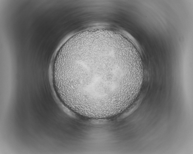 X0000110920859200907161517