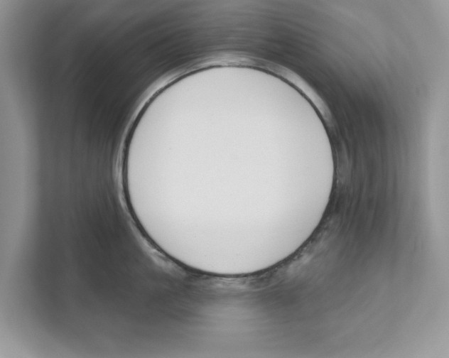 X0000110920861200907161517