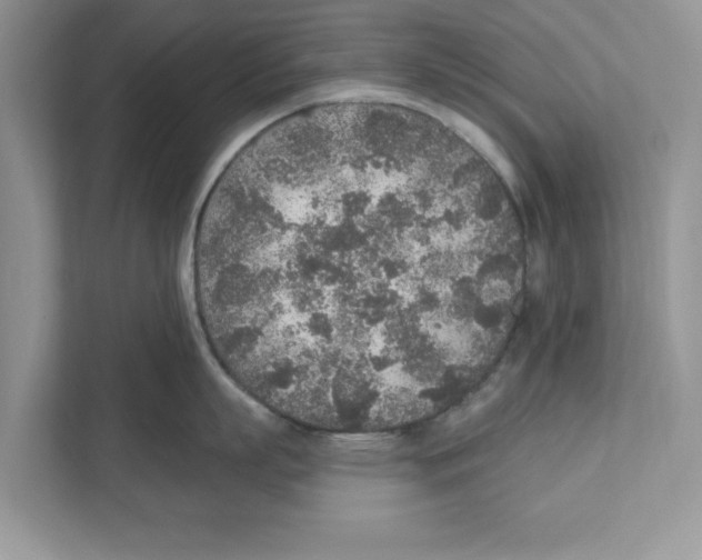 X0000110920863200907161518