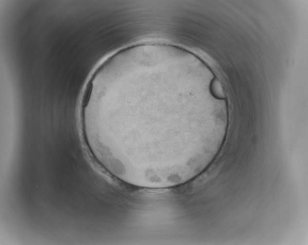 X0000110920864200907161518