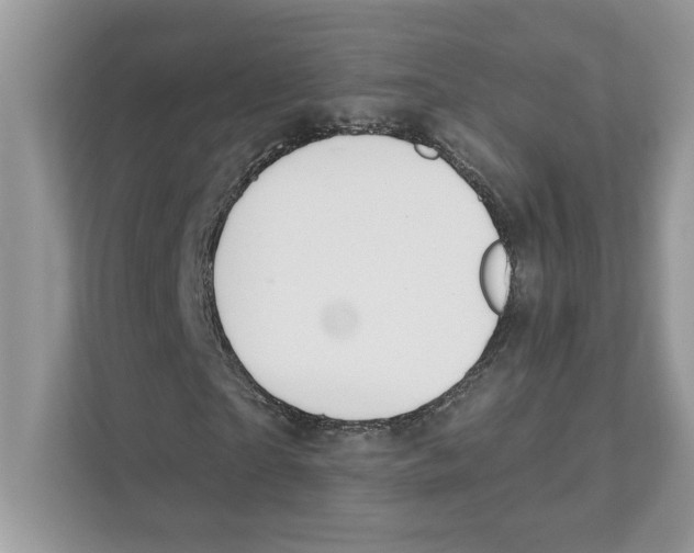 X0000110920865200907161517