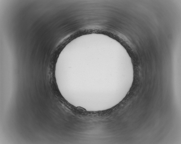 X0000110920872200907161517