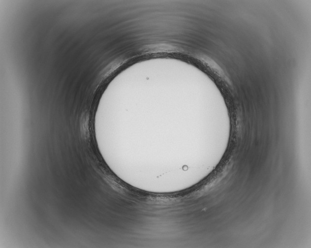 X0000110920873200907161517
