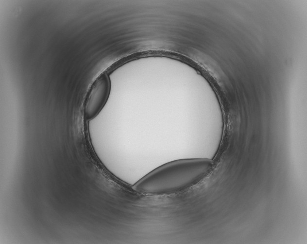 X0000110920877200907161517
