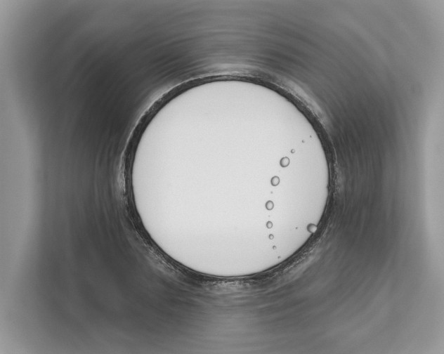 X0000110920883200907161517