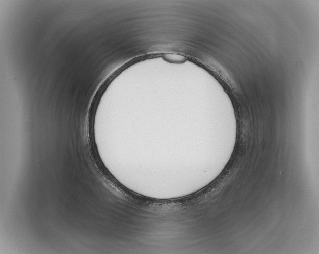 X0000110920884200907161517