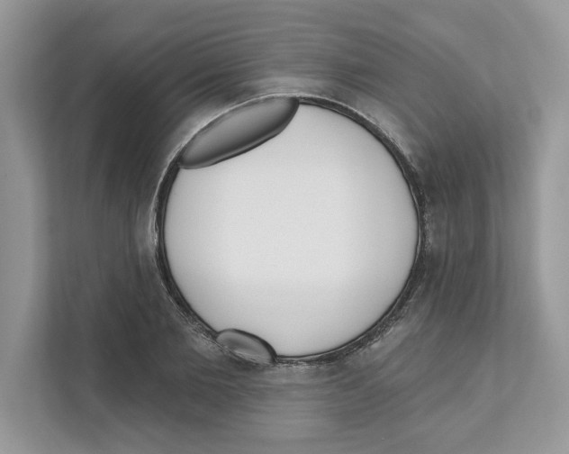 X0000110920885200907161517