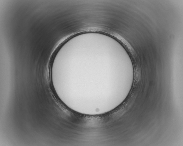 X0000110920886200907161517