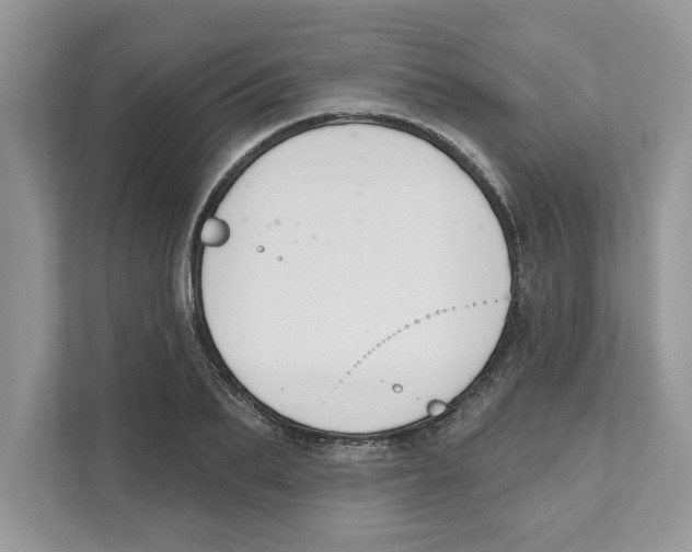 X0000110920887200907161517