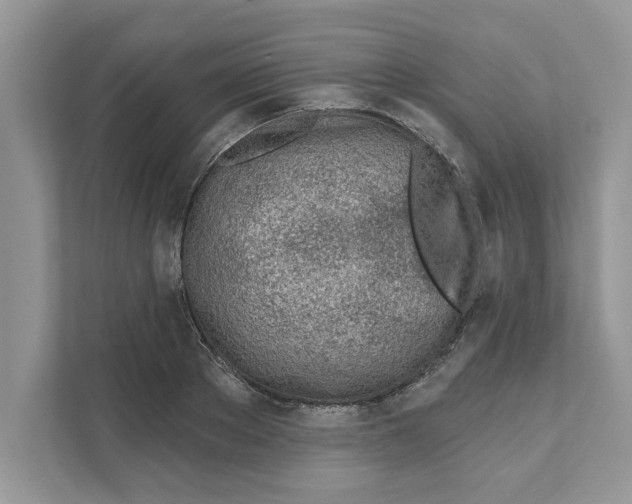 X0000110920889200907161517