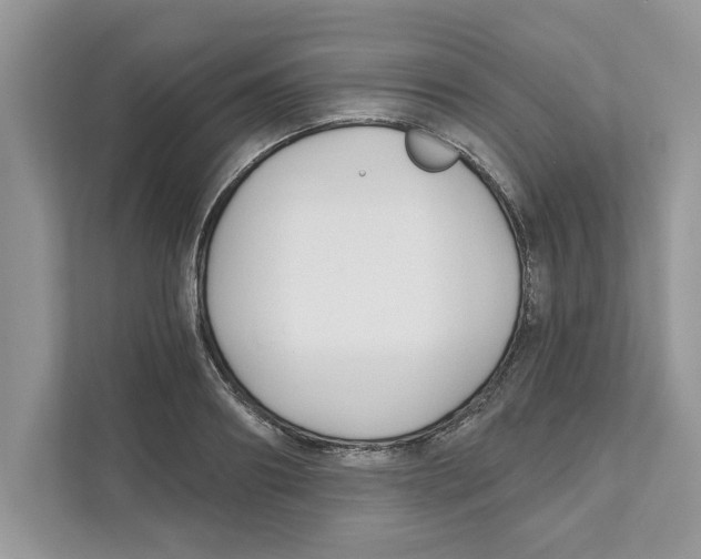 X0000110920890200907161517