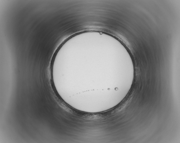 X0000110920891200907161517