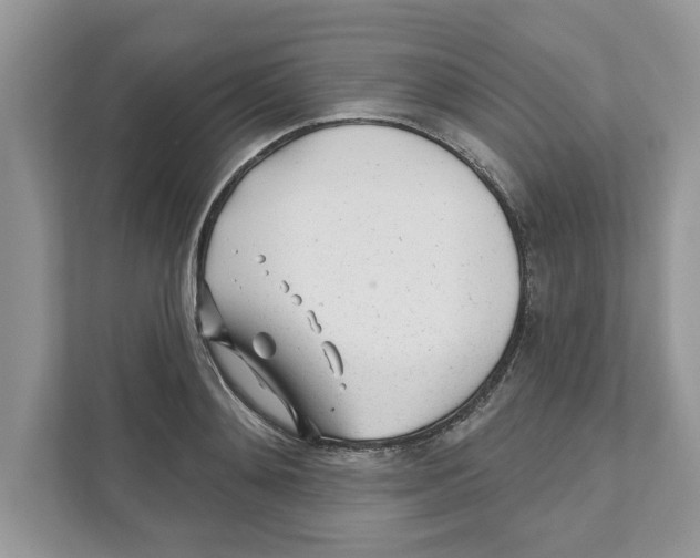 X0000110920892200907161517
