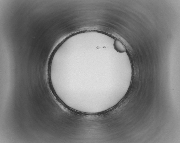 X0000110920894200907161517