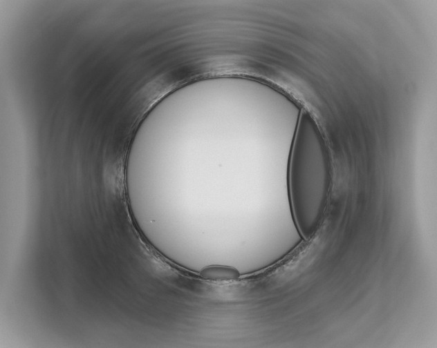X0000110920897200907161516