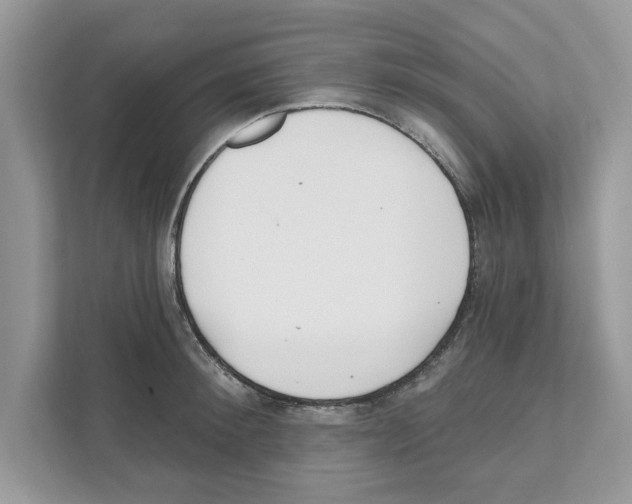 X0000110920900200907161516