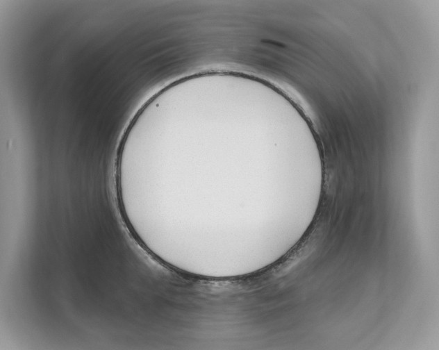 X0000110920903200907161516