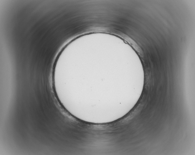 X0000110920904200907161516
