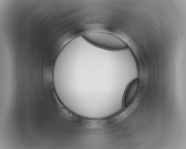 X0000110920905200907161516