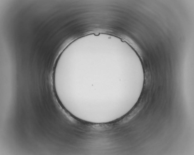 X0000110920906200907161516