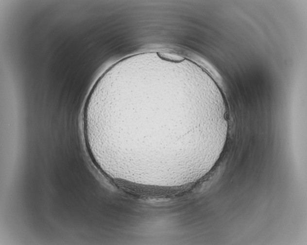 X0000110920907200907161516