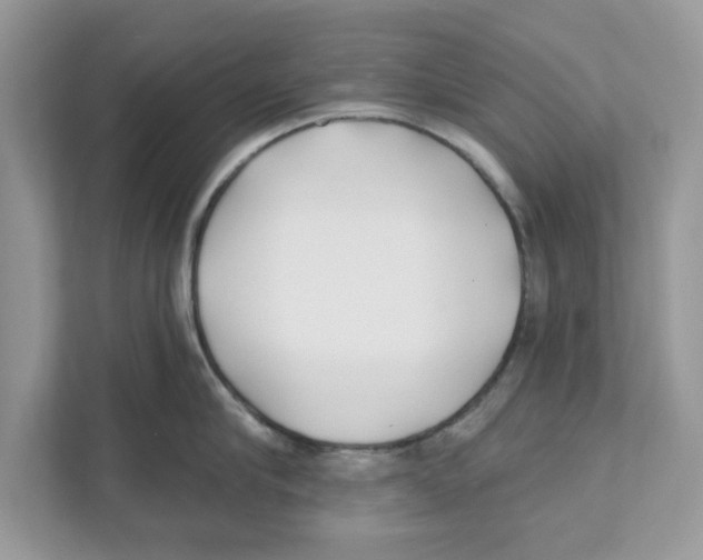 X0000110920910200907161516