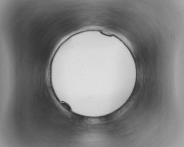 X0000110920911200907161516
