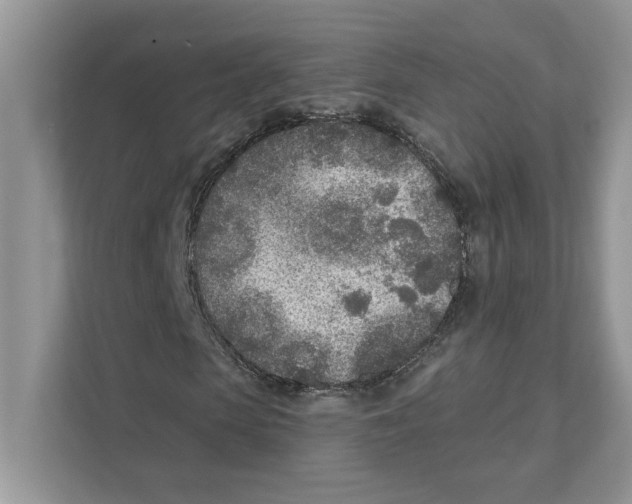 X0000110920913200907161516
