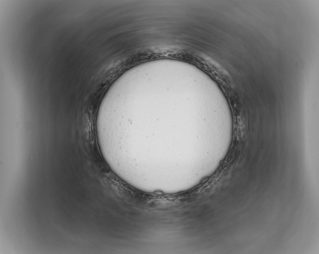 X0000110920917200907161516