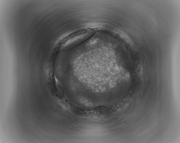 X0000110920920200907161516