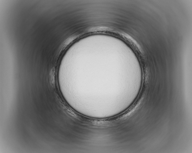 X0000110920921200907161516