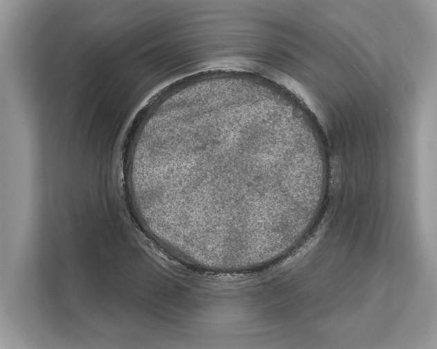 X0000110920923200907161516