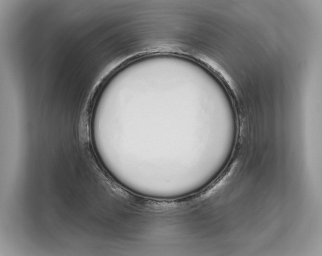 X0000110920925200907161516