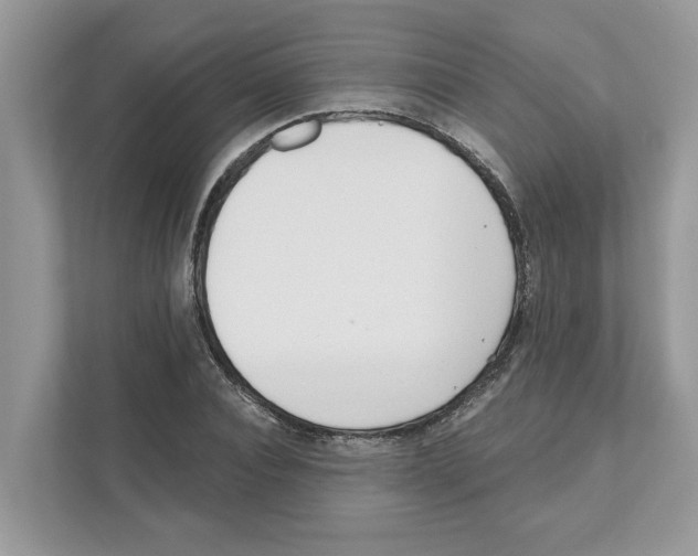 X0000110920928200907161516
