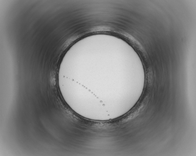 X0000110920929200907161516
