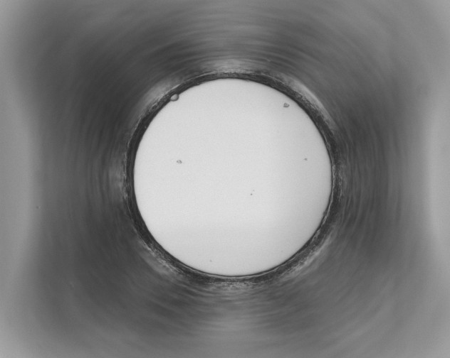 X0000110920930200907161516