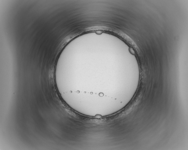 X0000110920937200907161516