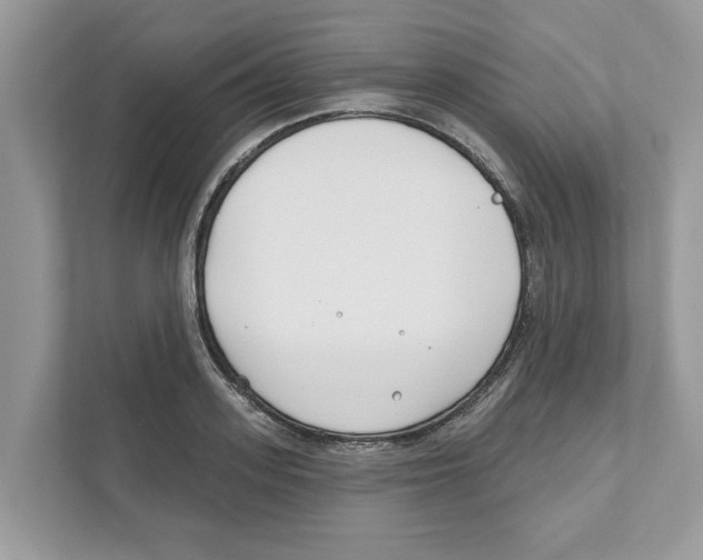 X0000110920939200907161516